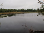 Multiple Culvert Crossing, Molasses Pond, Eastbrook, Maine