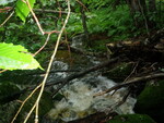 Culvert Crossing, Dedham, Maine