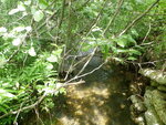 Culvert Crossing, Dedham, Maine