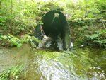 Culvert Crossing, Dedham, Maine