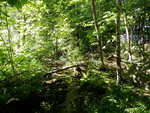 Culvert Crossing, Ellsworth, Maine