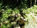 Multiple Culvert Crossing, Ellsworth, Maine