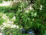 Multiple Culvert Crossing, Ellsworth, Maine