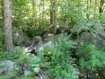 Multiple Culvert Crossing, Ellsworth, Maine