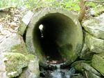 Culvert Crossing, Franklin, Maine