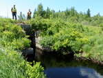 Culvert Crossing, Steuben, Maine