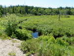 Culvert Crossing, Steuben, Maine