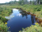 Multiple Culvert Crossing, Mill River, Milbridge, Maine