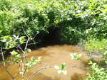 Bridge Crossing, Mill River, Harrington, Maine