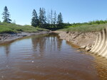 Culvert Crossing, Cole Creek, Harrington, Maine