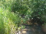 Culvert Crossing, Curtis Creek, Harrington, Maine