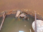 Culvert Crossing, Curtis Creek, Harrington, Maine