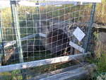 Culvert Crossing, Sullivan, Maine