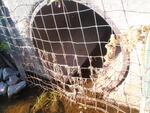Culvert Crossing, Sullivan, Maine