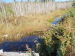 Culvert Crossing, Sullivan, Maine