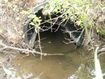 Culvert Crossing, Franklin, Maine