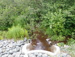 Culvert Crossing, Ellsworth, Maine