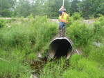 Culvert Crossing, Ellsworth, Maine
