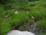 Culvert Crossing, Ellsworth, Maine