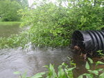 Culvert Crossing, Ellsworth, Maine