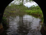 Culvert Crossing, Ellsworth, Maine