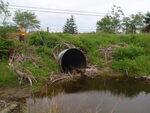 Culvert Crossing, Ellsworth, Maine