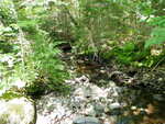 Culvert Crossing, Surry, Maine