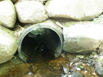 Culvert Crossing, Surry, Maine