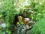 Culvert Crossing, Surry, Maine