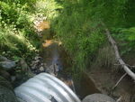 Culvert Crossing, Lamoine, Maine