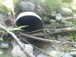 Culvert Crossing, Lamoine, Maine