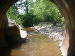 Culvert Crossing, Lamoine, Maine