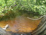 Culvert Crossing, Trenton, Maine