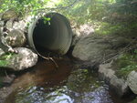 Culvert Crossing, Trenton, Maine