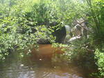 Culvert Crossing, Trenton, Maine