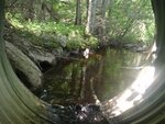Culvert Crossing, Trenton, Maine