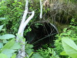 Culvert Crossing, Lamoine, Maine