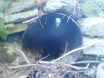 Culvert Crossing, Hancock, Maine