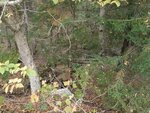 Culvert Crossing, Brooksville, Maine