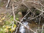 Culvert Crossing, Brooksville, Maine