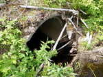 Culvert Crossing, T24 MD BPP, Maine