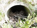 Culvert Crossing, T24 MD BPP, Maine