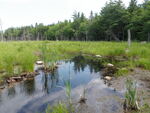 Culvert Crossing, T24 MD BPP, Maine