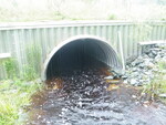 Bridge Crossing, Machias River, Whitneyville, Maine