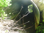 Culvert Crossing, Harrington, Maine