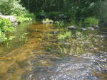 Culvert Crossing, Patten Stream, Surry, Maine