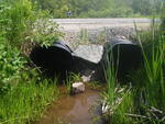 Multiple Culvert Crossing, Lamoine, Maine