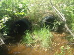 Multiple Culvert Crossing, Lamoine, Maine