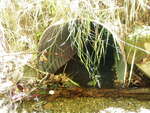 Culvert Crossing, Ellsworth, Maine