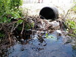 Culvert Crossing, Franklin, Maine